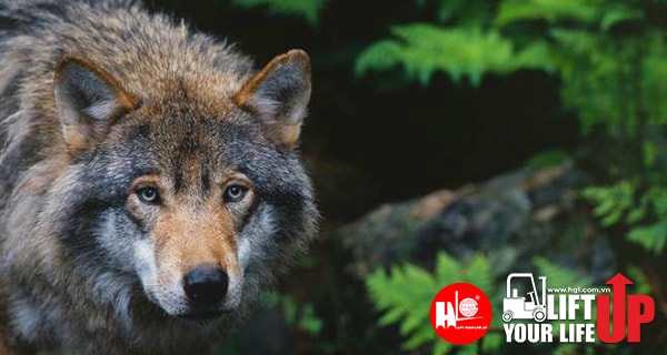 Hãy tôn trọng người dẫn lối cho bạn