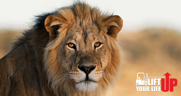 Nhân số học số 7: Con số của sự huyền bí, kẻ độc hành