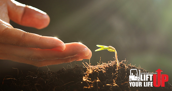 Nhân số học số 9: Con số đại diện cho đức tin và quy luật